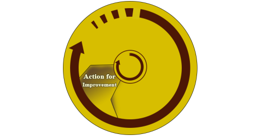 Action for improvement- The main components of occupational health and safety management systems